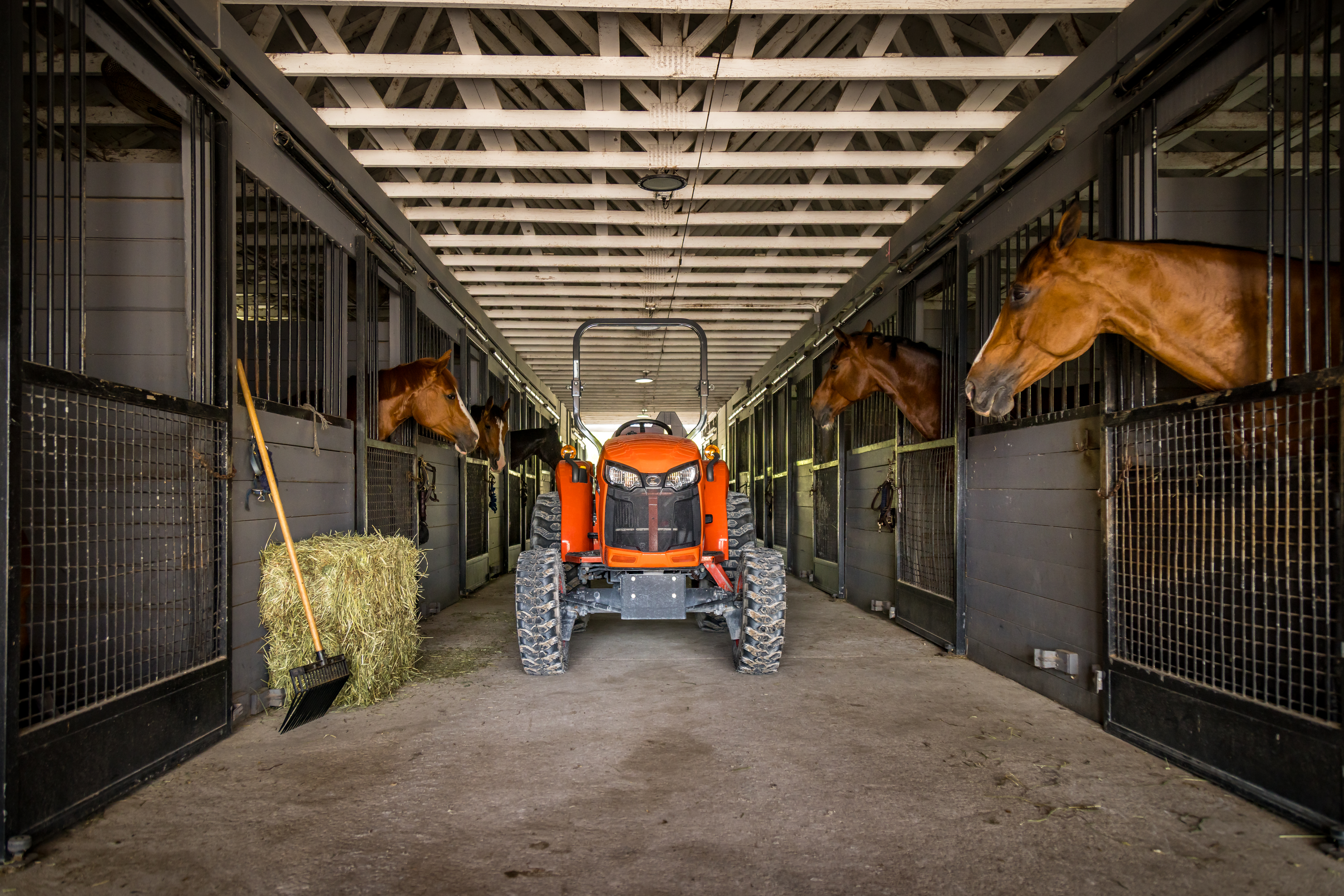 Kubota tractor parked near horses at a Florida Coast Equipment farm setting